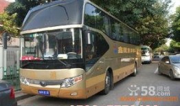 厦门租车爆料最新消息,揭秘价格波动与热门车型